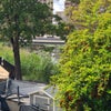 Photo 4: 'room with a calm,relaxing view ".....of lake and greenery opposite