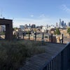 Photo 9: Communal roof terrace