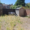 Photo 6: Backyard 