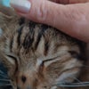 Photo 3: My beautiful Freckle who lives in my Spanish house with my best friend 