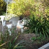 Photo 8: Room overlooks patio garden. Double glazed