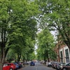 Photo 8: view from street 