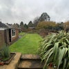 Photo 9: Garden