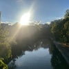 Photo 3: Located next to Regents Canal and the Constitution Pub!
