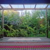 Photo 2: Garden Yoga Shala