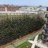 Photo 8: View
