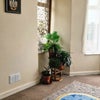 Photo 5: Downstairs Area