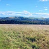 Photo 7: Beautiful countryside 5 mins walk from the house
