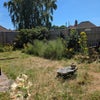 Photo 7: Garden 
