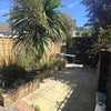 Photo 2: Garden