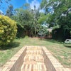 Photo 6: Garden
