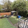 Photo 9: Garden
