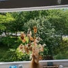 Photo 4: Room with a beautiful view of trees