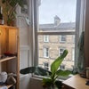 Photo 2: Window looks out onto street 