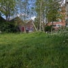 Photo 6: Shared green space behind the house