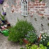 Photo 6: Garden 1