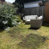 Photo 9: Garden