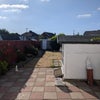 Photo 6: Garden