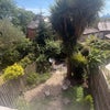 Photo 5: Communal garden