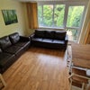 Photo 6: Living room