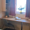 Photo 5: Room