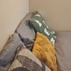 Photo 4: Room