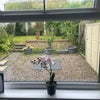Photo 7: Back garden