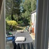 Photo 9: Garden