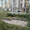 Photo 9: Garden