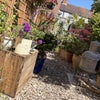 Photo 6: Garden 