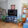 Photo 8: Living room