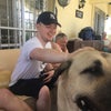 Photo 2: Big fan of big dogs