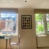 Photo 2: Huge windows with a nice view and a tree!