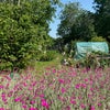 Photo 6: Beautiful garden