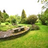 Photo 3: Garden 
