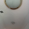 Photo 8: Ceiling