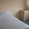 Photo 2: Brand new bed and carpet