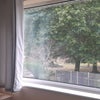 Photo 4: View of garden and park beyond