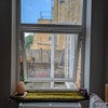 Photo 4: View from window