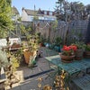 Photo 9: Garden / bike shed