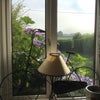 Photo 5: View from lounge 