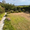 Photo 7: Garden