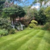 Photo 7: Right Lawn