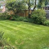 Photo 8: Right Lawn