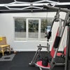 Photo 3: Gym/conservatory