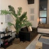 Photo 5: Living room