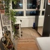 Photo 5: Single room £825