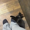 Photo 4: i love cats 🫶🫶