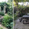Photo 8: Garden dining and bbq area