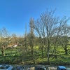 Photo 5: Park views from the room
